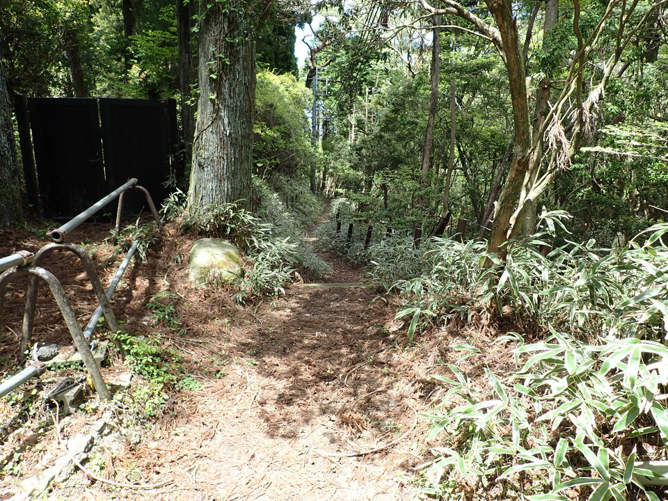 P5037786_mid.jpg