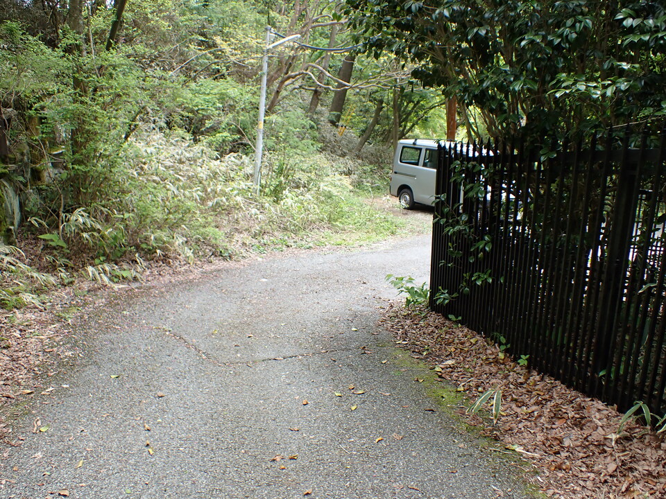 P5037789_mid.jpg