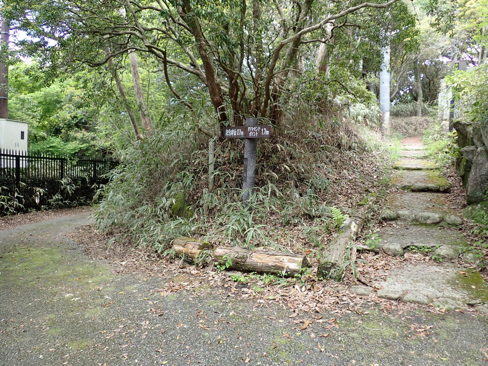 P5037790_mid.jpg