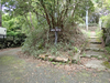 P5037790_thumb.png