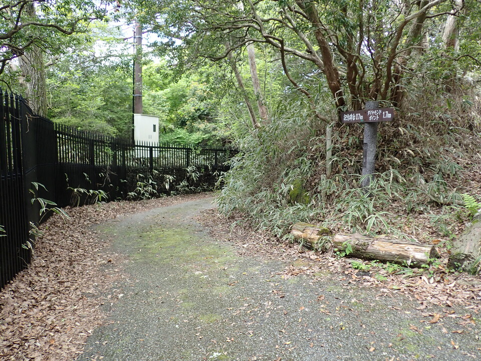 P5037791_mid.jpg