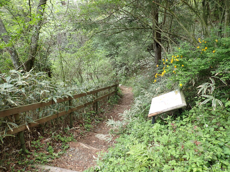 P5037793_mid.jpg