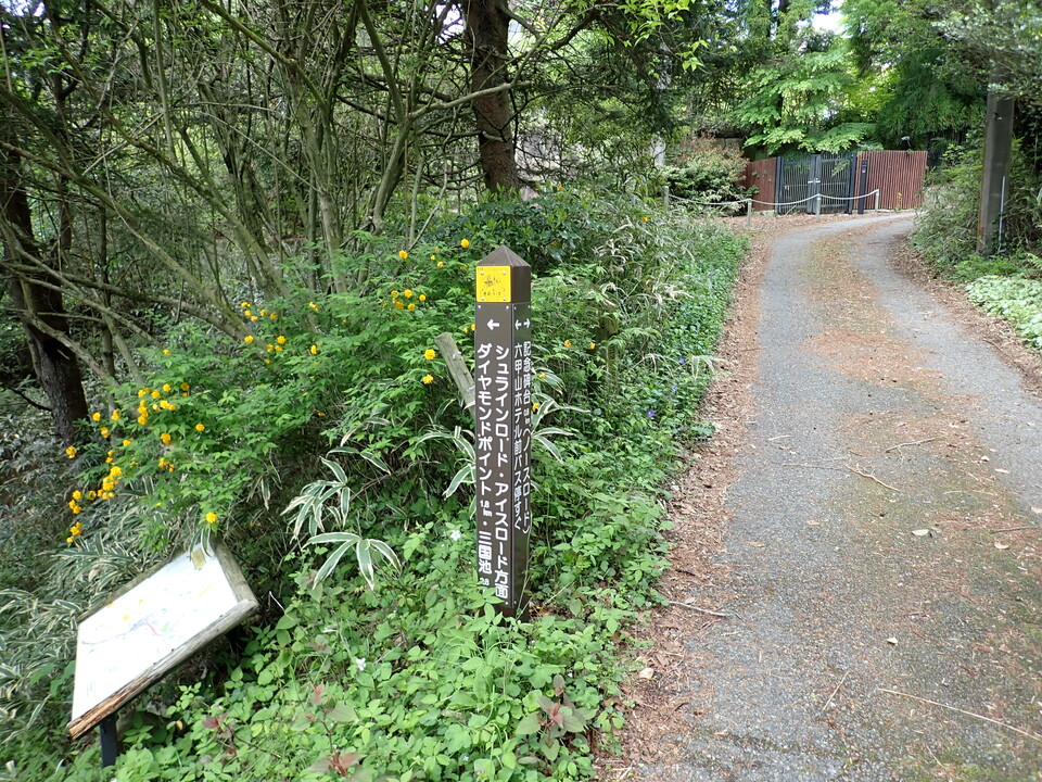 P5037794_mid.jpg