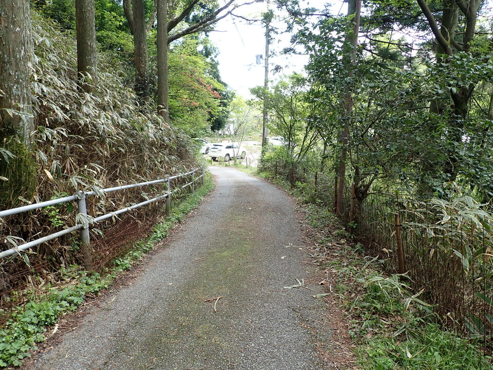 P5037795_mid.jpg