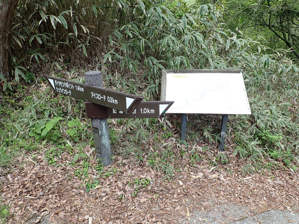 P5037797_mid.jpg
