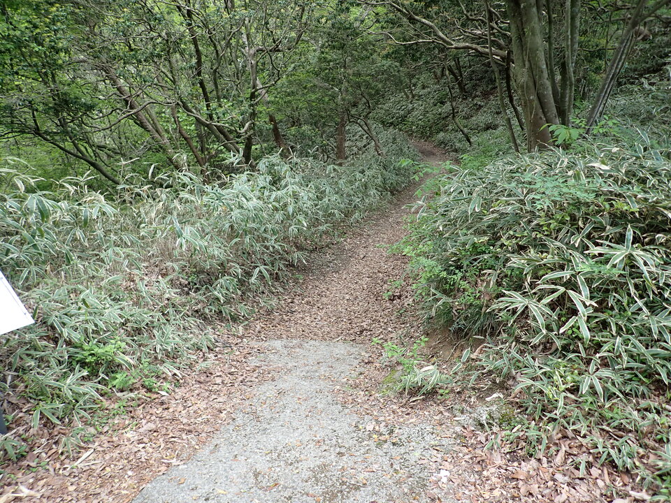 P5037798_mid.jpg
