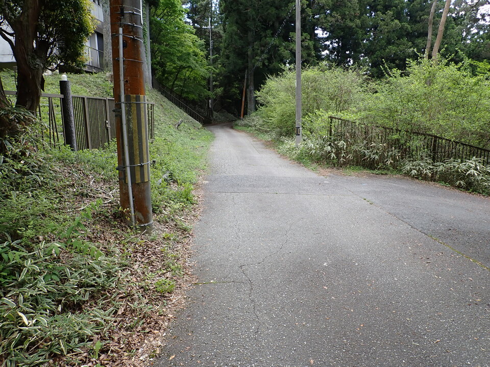 P5037799_mid.jpg