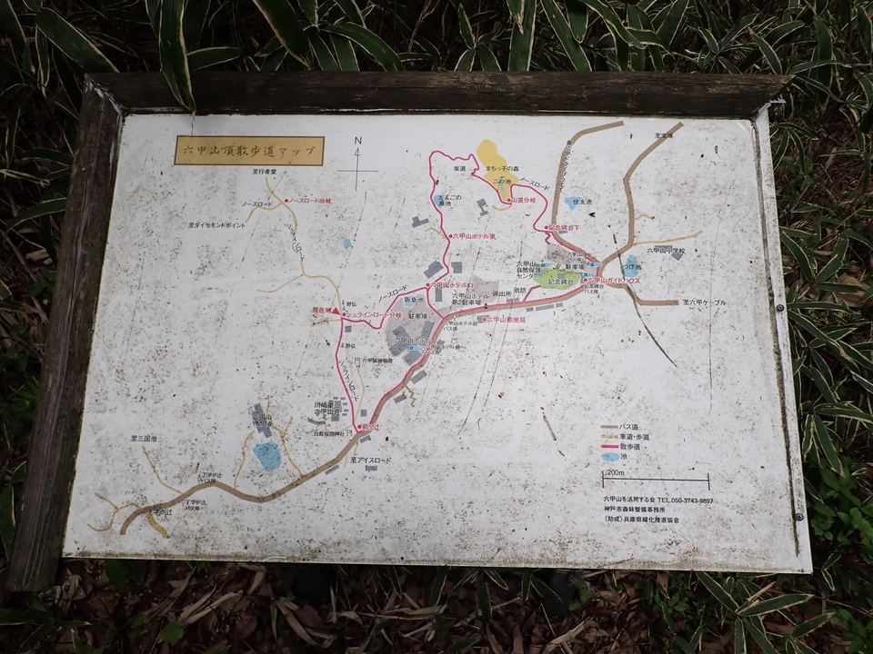 P5037800_mid.jpg