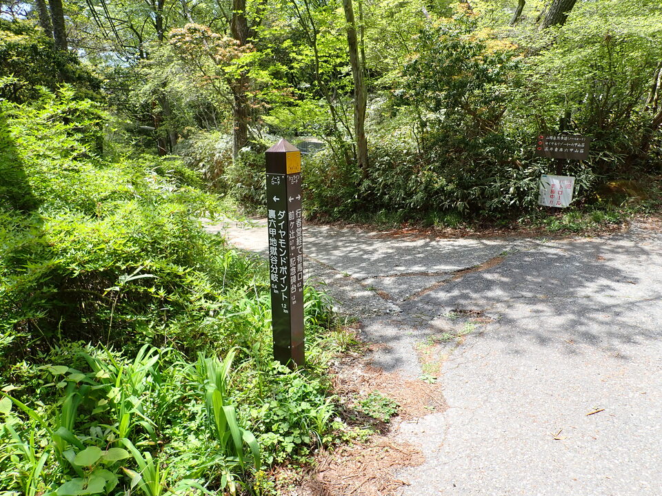 P5037802_mid.jpg