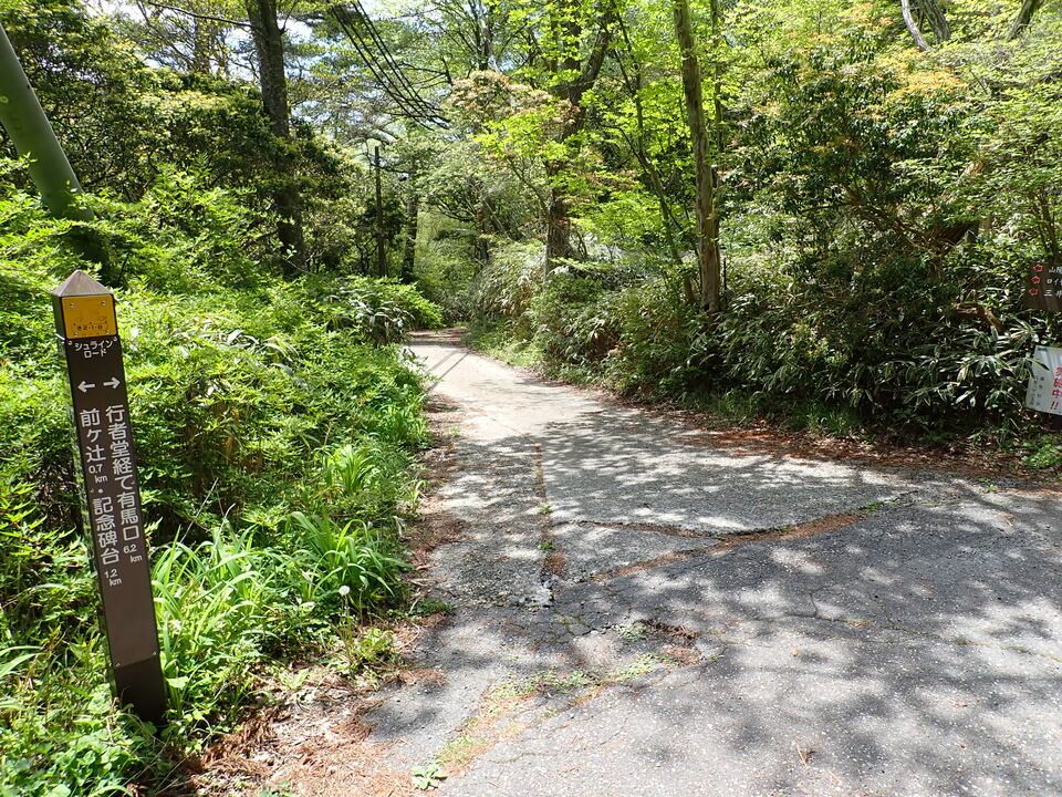 P5037803_mid.jpg