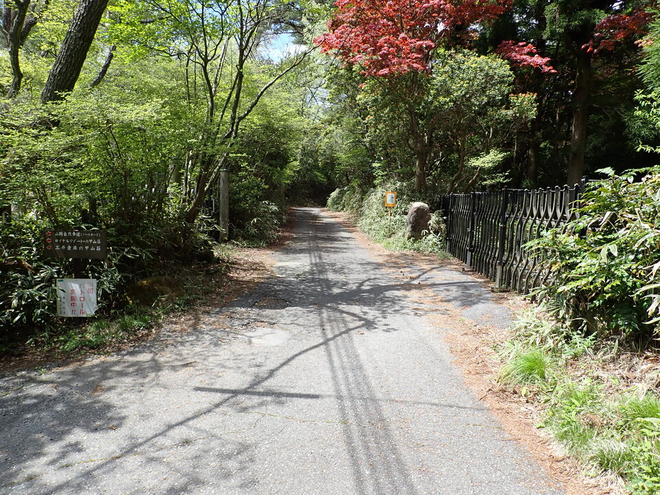 P5037804_mid.jpg