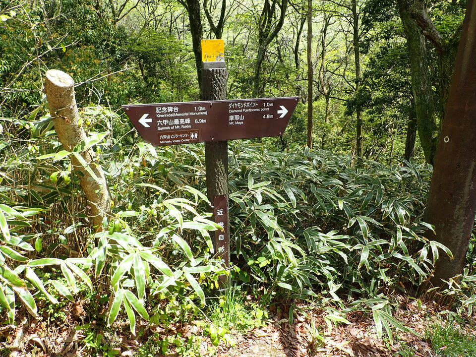 P5037806_mid.jpg
