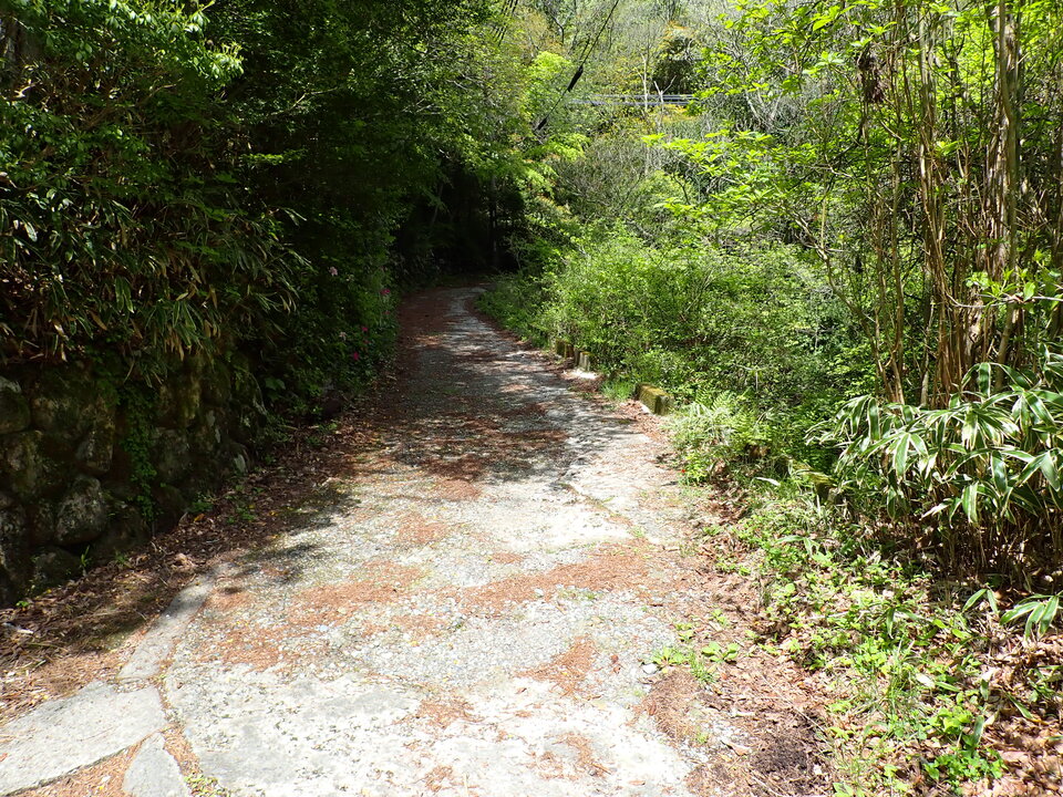 P5037809_mid.jpg