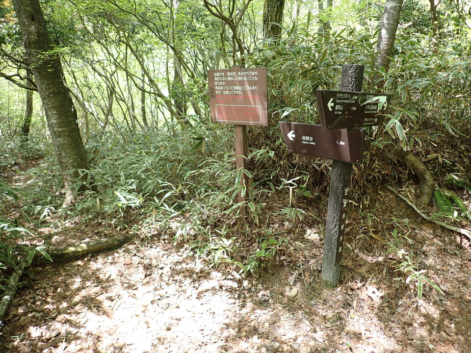 P5037810_mid.jpg
