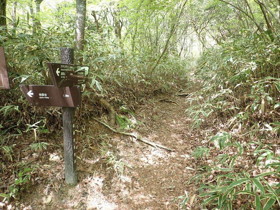 P5037811_mid.jpg