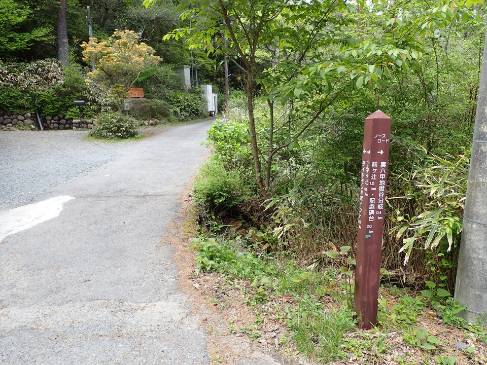 P5037813_mid.jpg