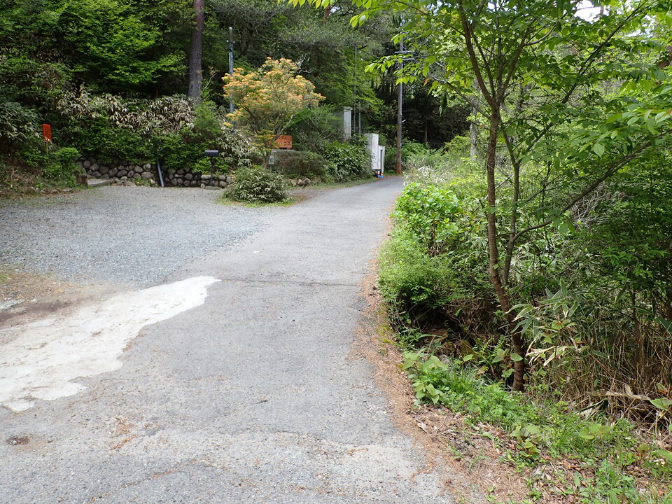 P5037814_mid.jpg