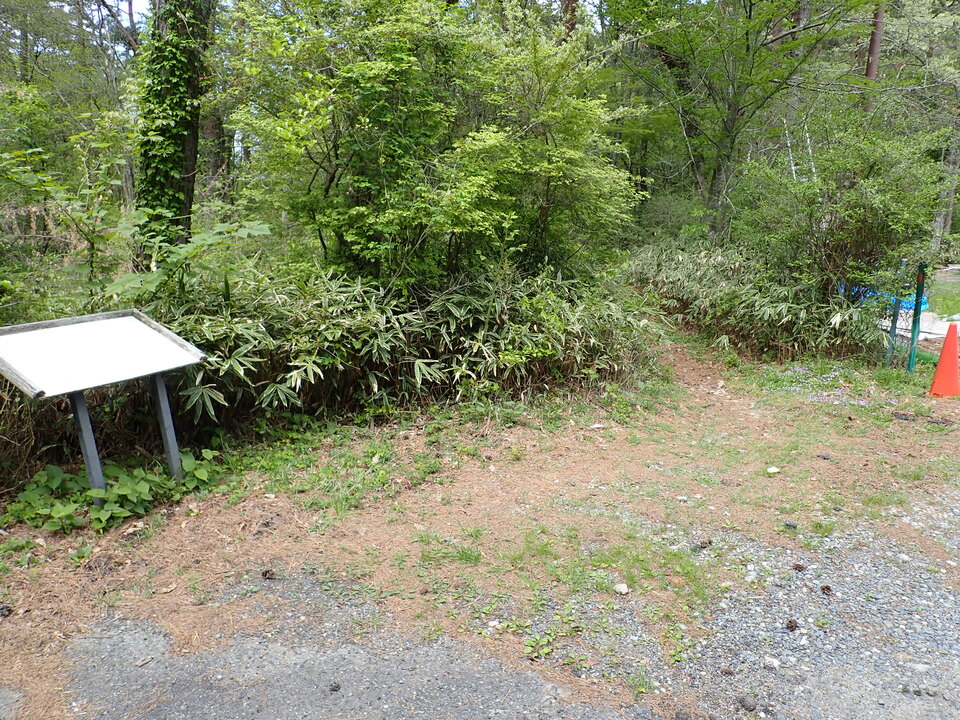 P5037815_mid.jpg
