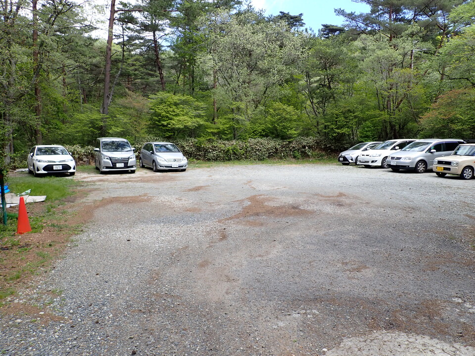 P5037816_mid.jpg