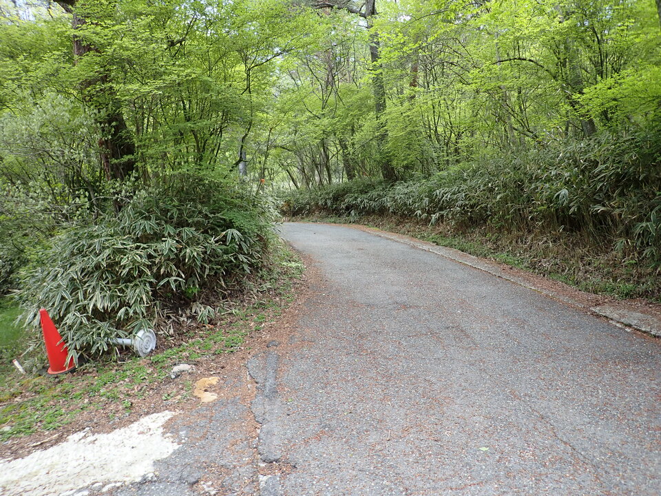P5037817_mid.jpg