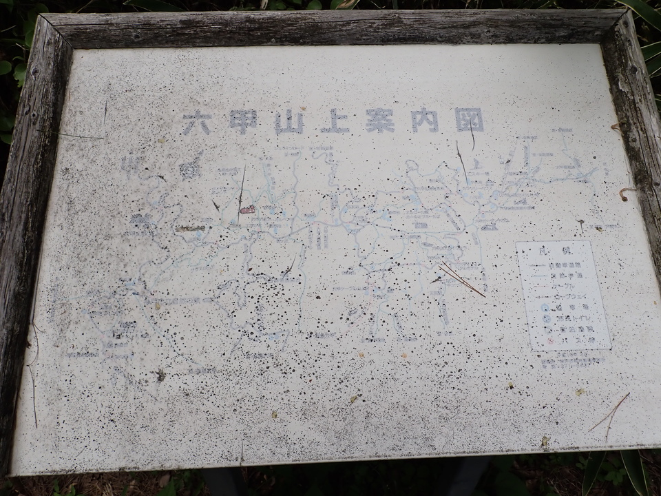 P5037818_mid.jpg