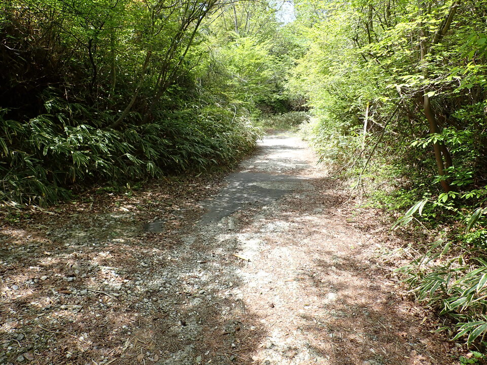P5037819_mid.jpg