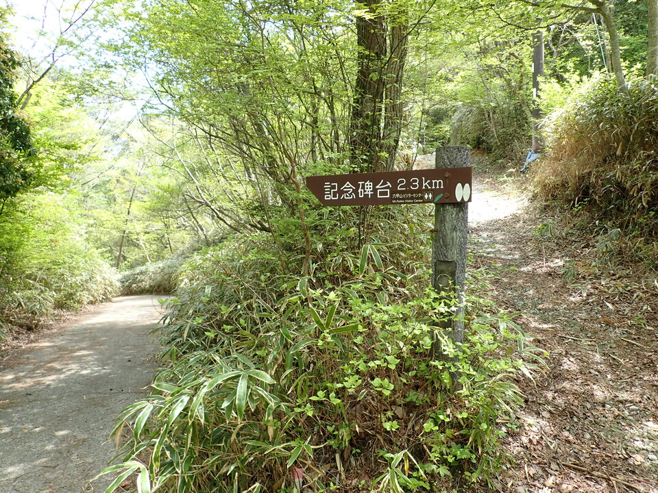P5037820_mid.jpg
