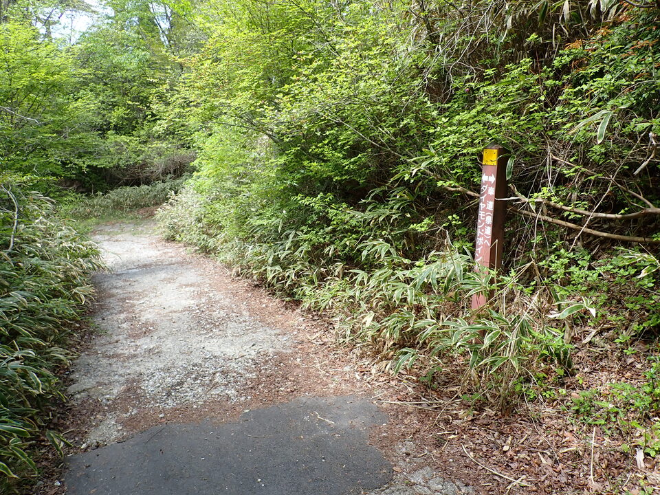 P5037822_mid.jpg