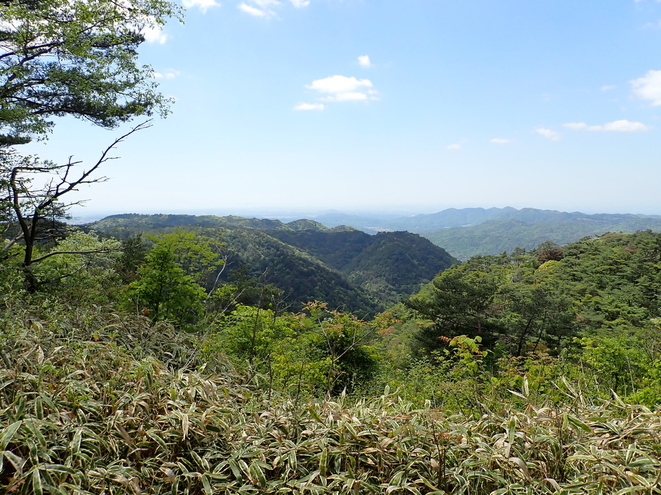 P5037825_mid.jpg