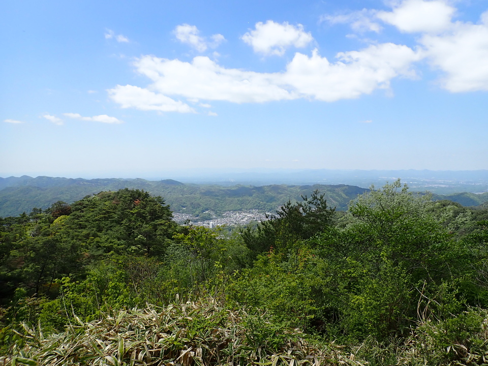 P5037826_mid.jpg