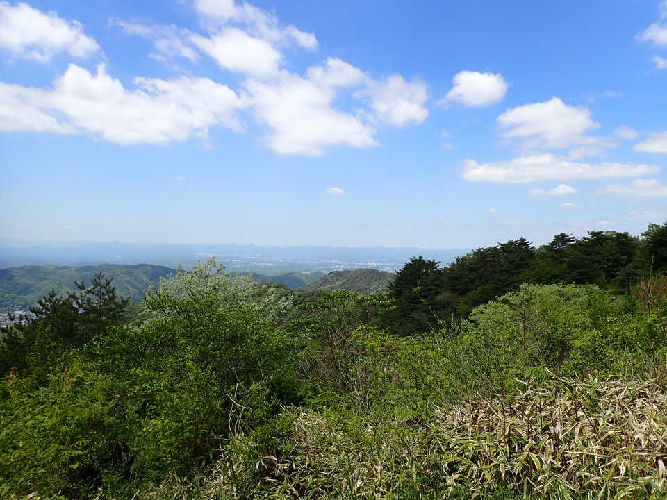P5037827_mid.jpg