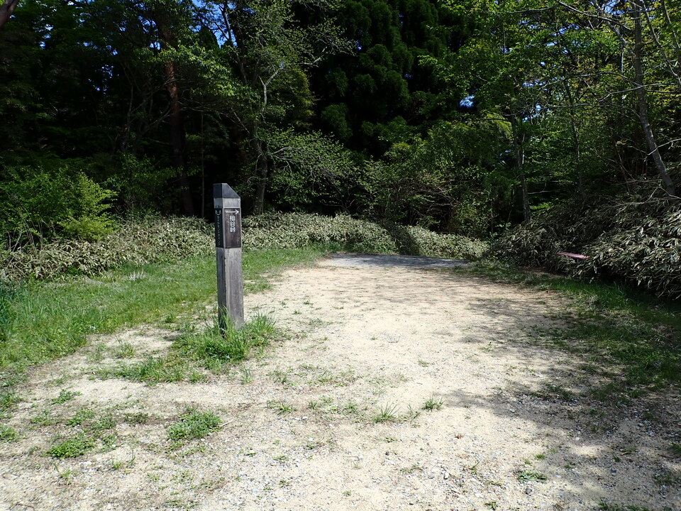 P5037828_mid.jpg