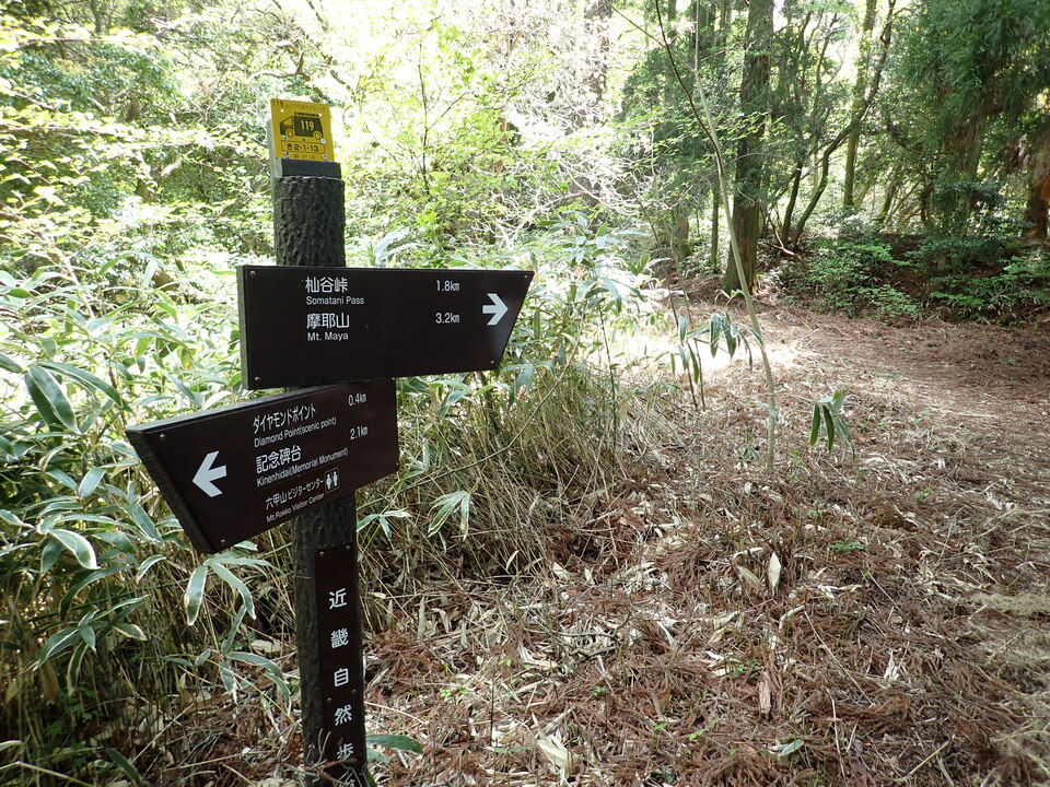 P5037829_mid.jpg