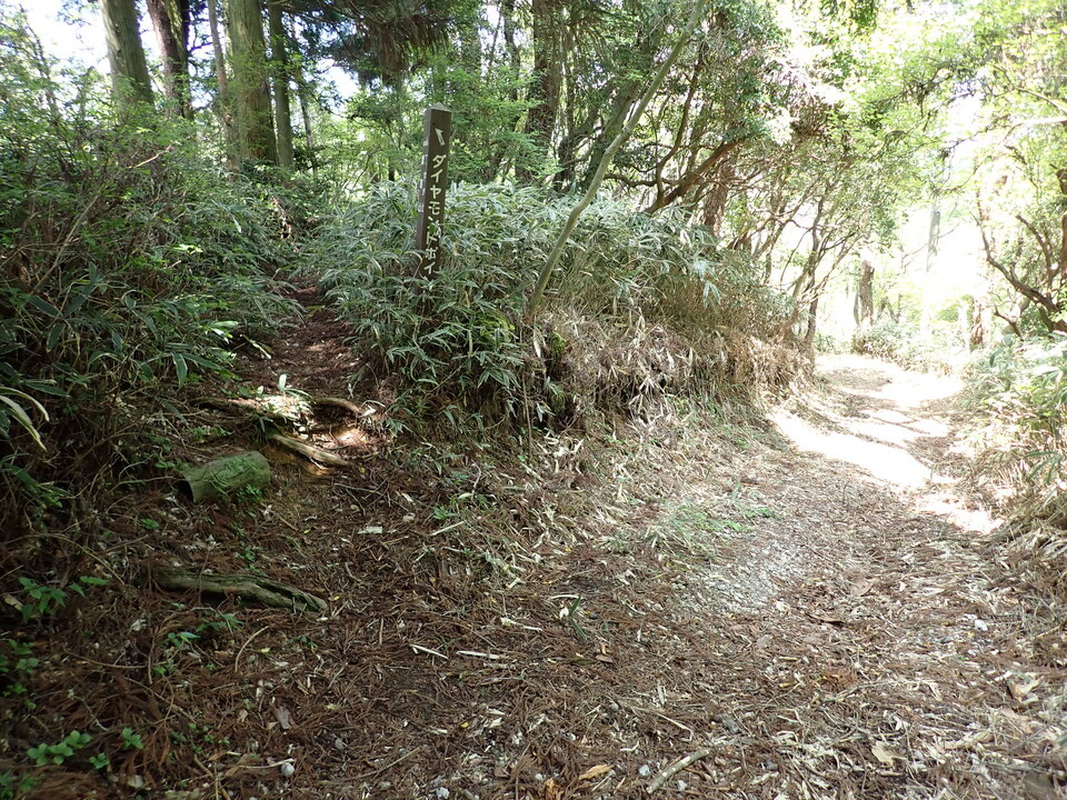 P5037830_mid.jpg