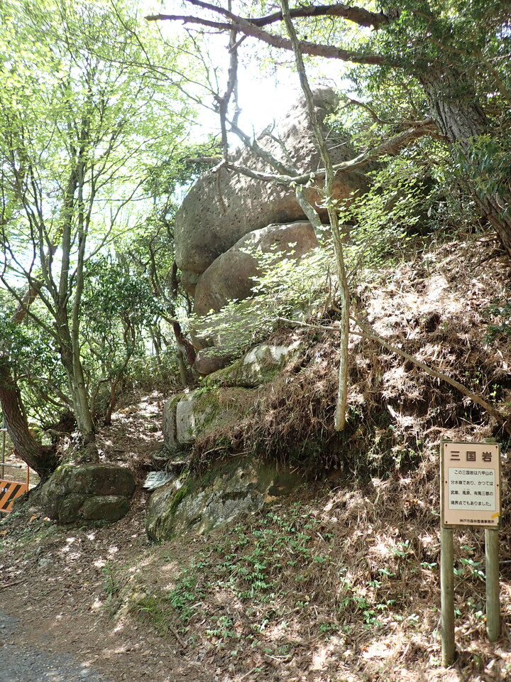P5037833_mid.jpg