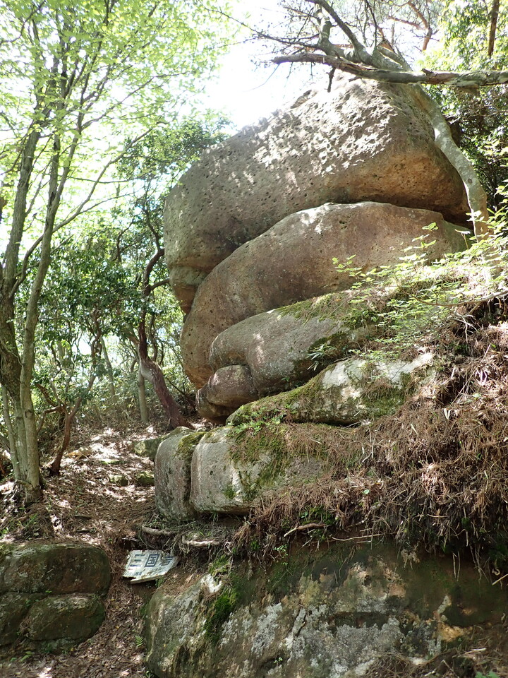 P5037835_mid.jpg