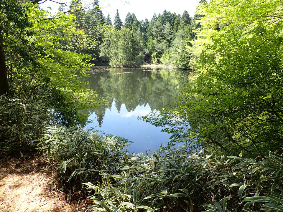 P5037837_mid.jpg