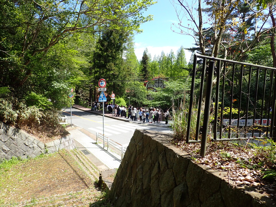 P5037838_mid.jpg