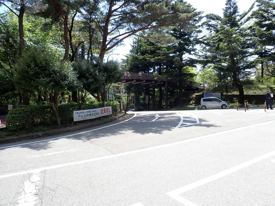 P5037840_mid.jpg