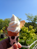 P5037851_thumb.png