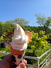 P5037852_thumb.png