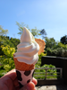 P5037853_thumb.png