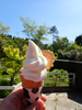 P5037854_thumb.png