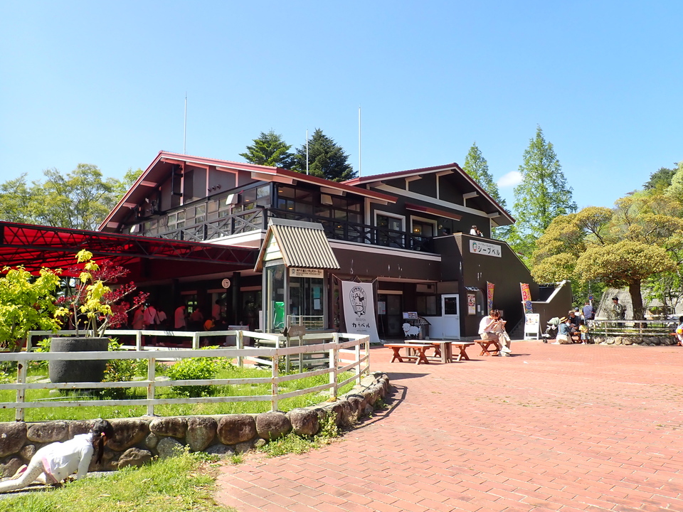 P5037856_mid.jpg