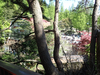 P5037858_thumb.png