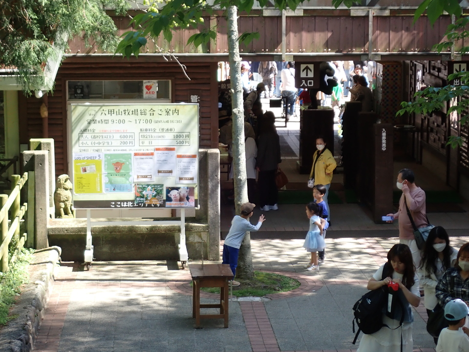 P5037859_mid.jpg
