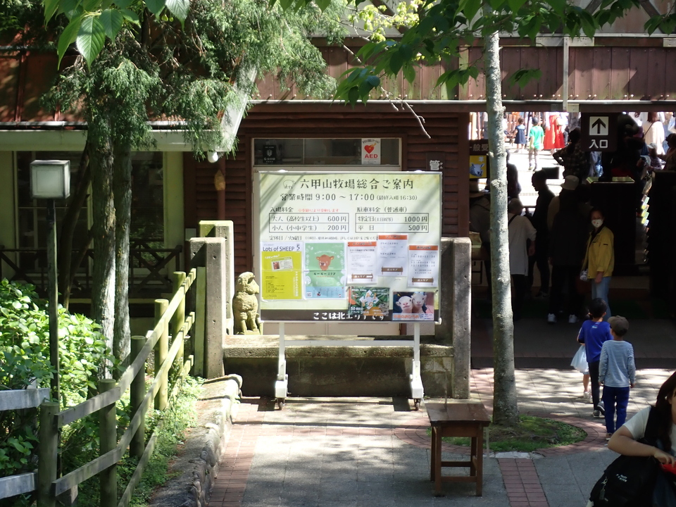 P5037860_mid.jpg