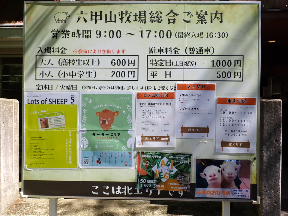 P5037861_mid.jpg