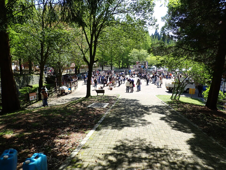 P5037863_mid.jpg