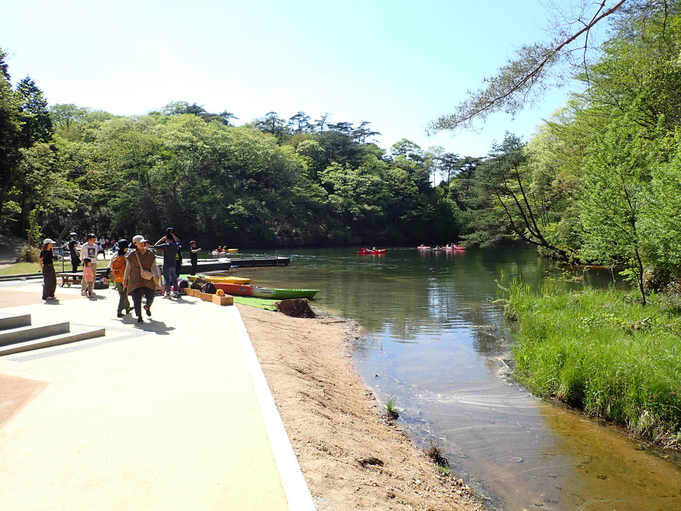 P5037864_mid.jpg